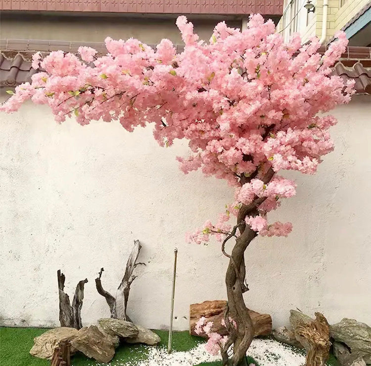 Sakura™