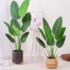 Bananaz™ 120CM